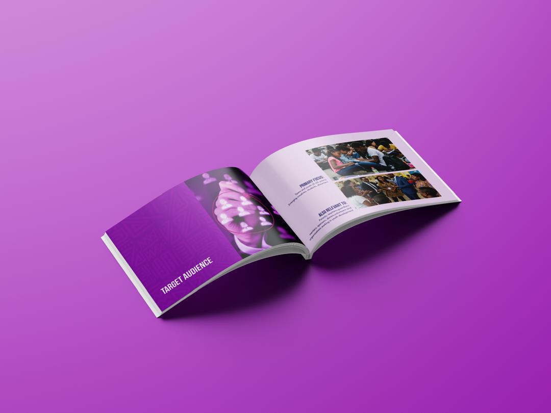 Ambassadors audience strategy deck